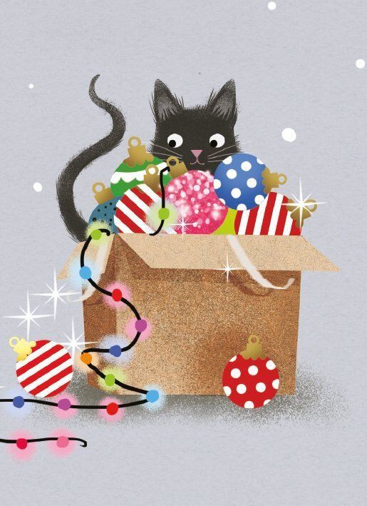 Boxed Christmas Cards Festive Feline