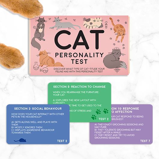 Pet Personality Test CAT