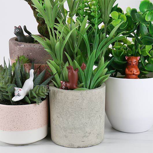 Yoga Cat Plant Pot Markers