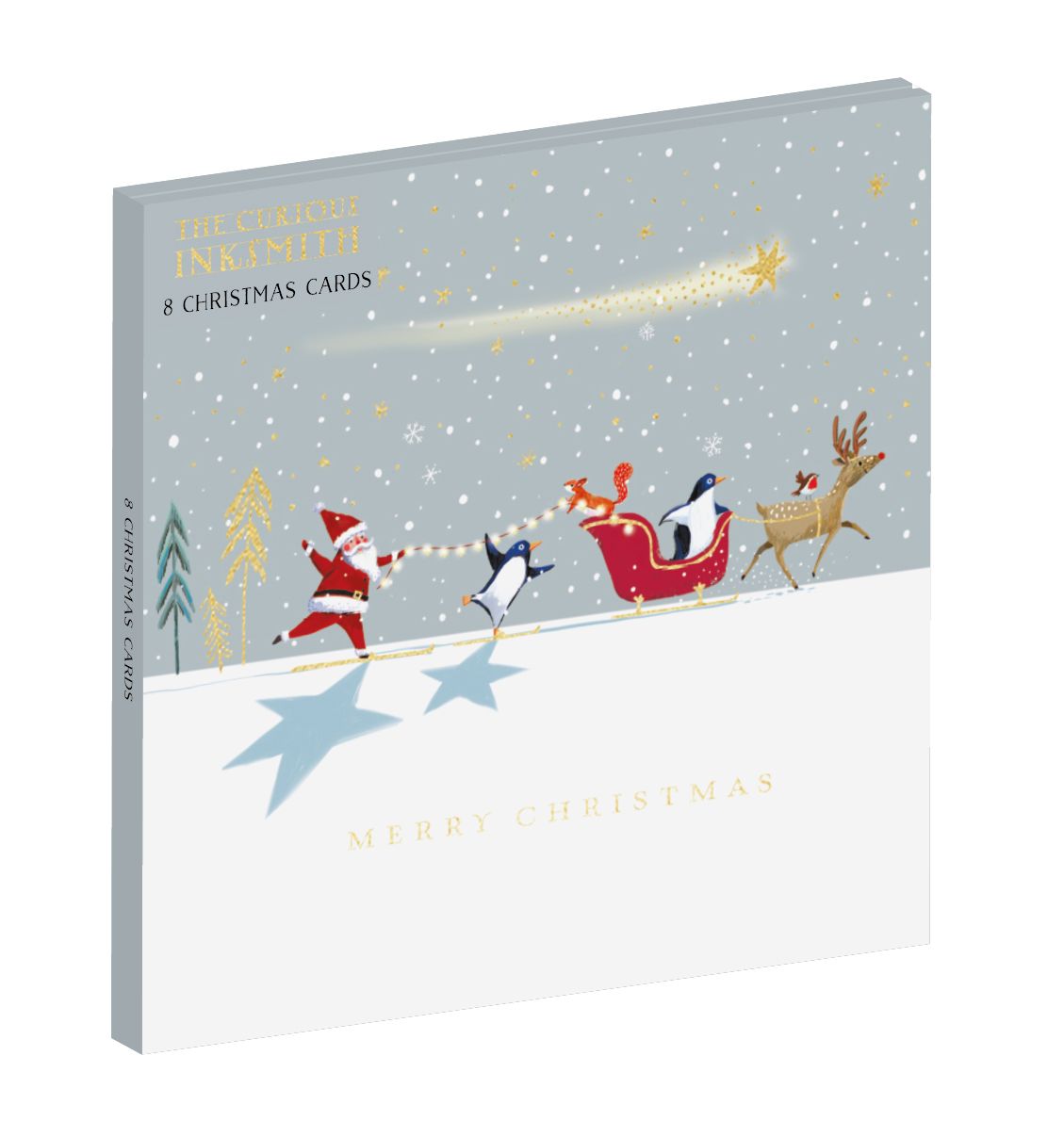 Boxed Christmas Cards Skiing With The Stars