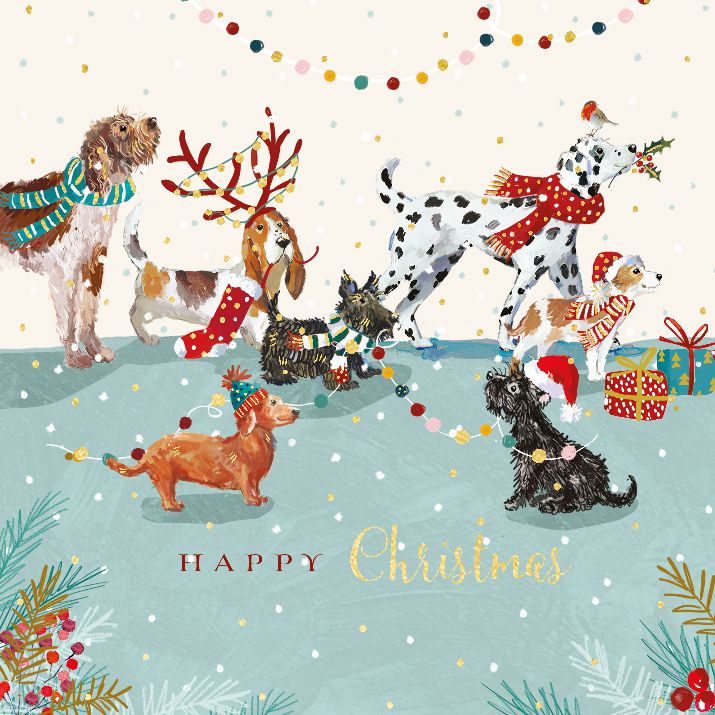 Boxed Christmas Cards Christmas Time!