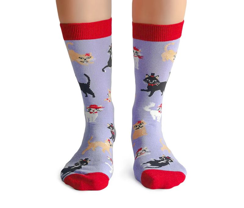 Women's Socks Cats In Hats