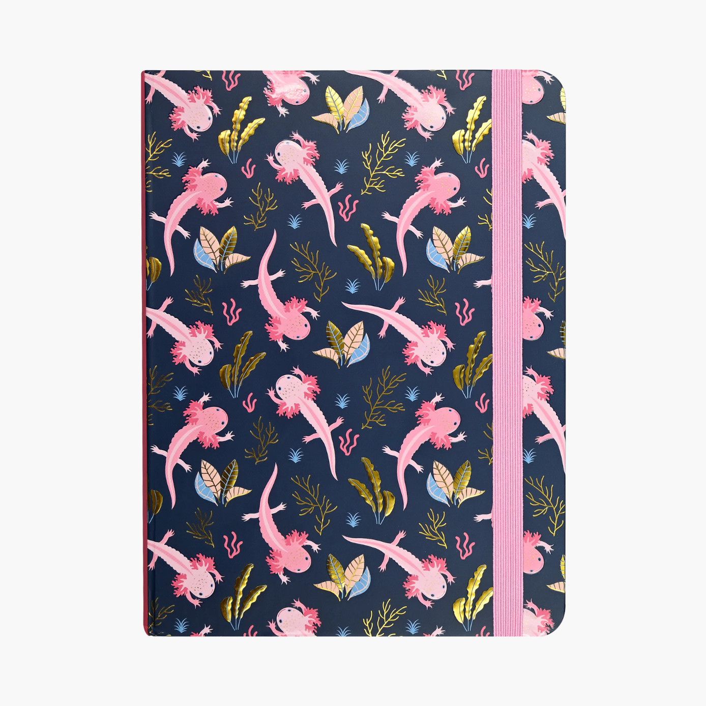 Journal Mid Axolotls