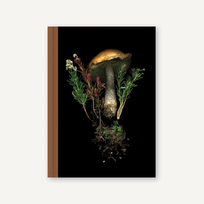 Deep Dark Forest Mushroom Hardcover Journal