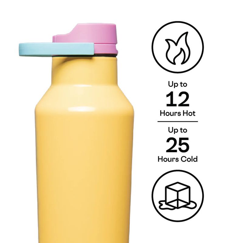 Sport Canteen 20oz Toucan Jams