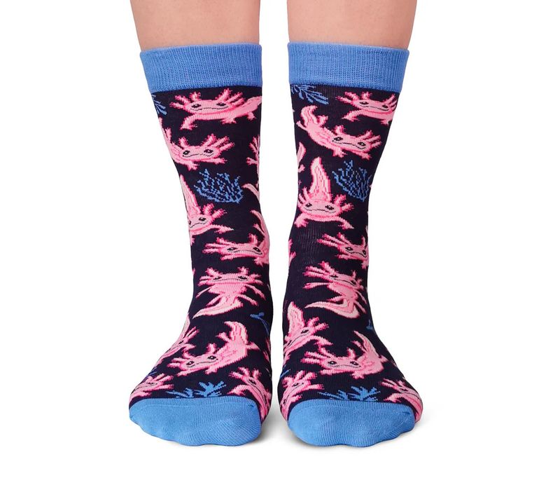Women's Socks Axolotl