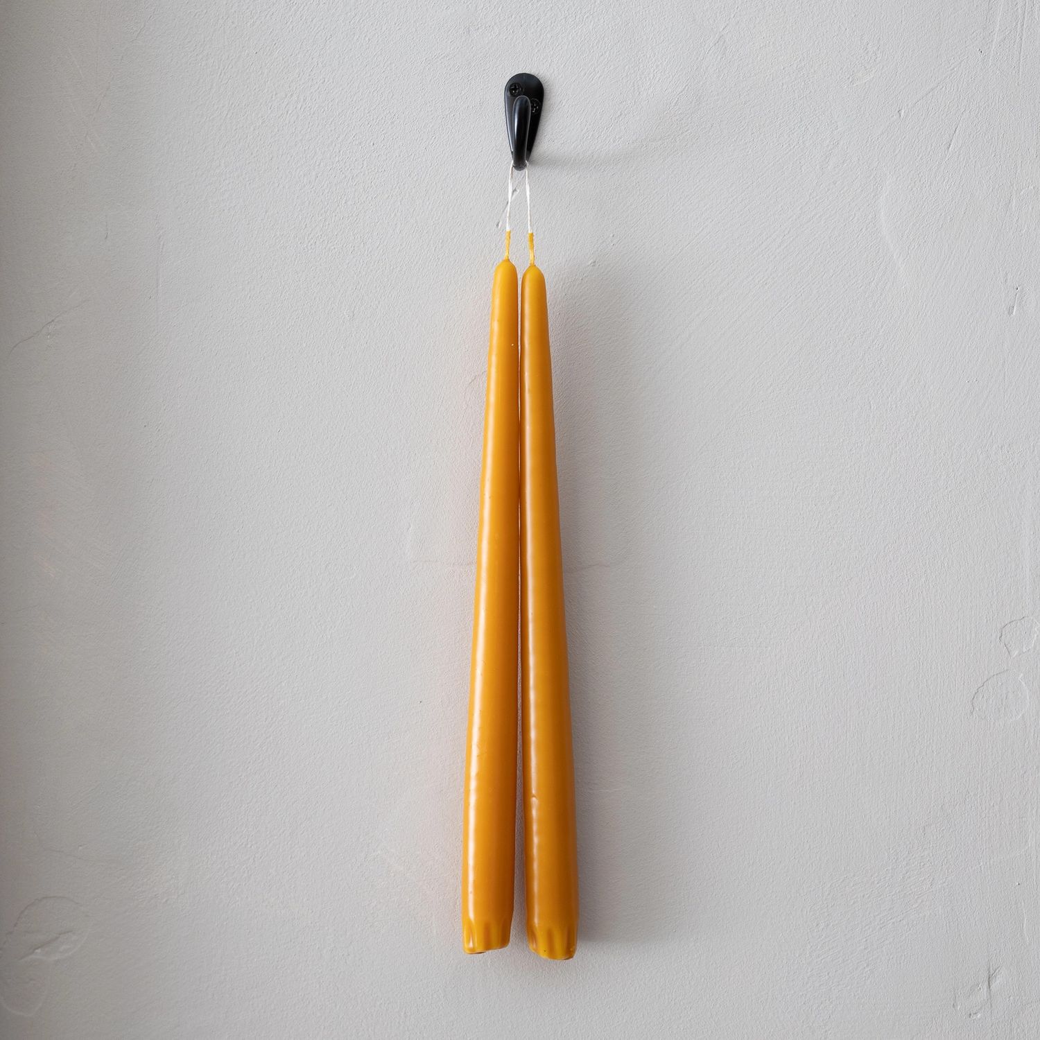 Taper Candles Pair Harvest 12&quot;