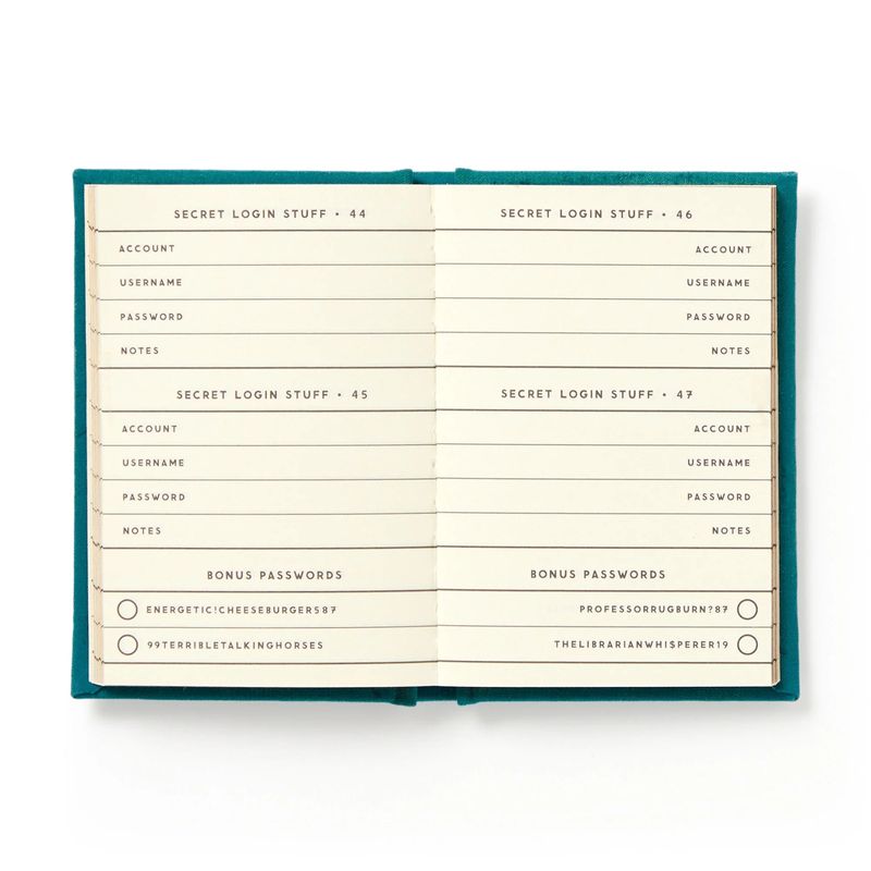 Tiny Diary Definitely Not My Passwords