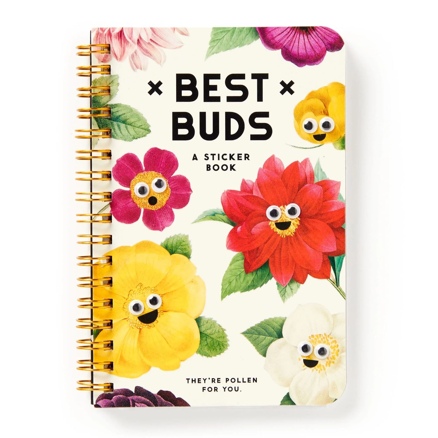 Googly Best Buds Sticker Book