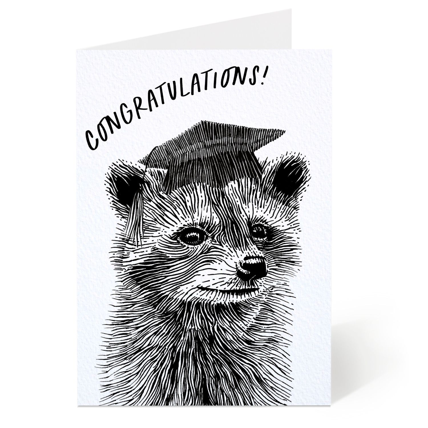 Graduation Raccoon