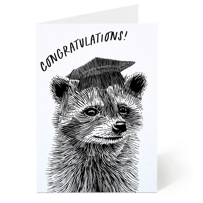 Graduation Raccoon