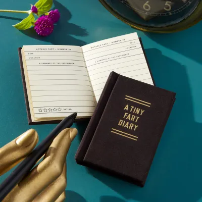 Guided Journals + Agendas