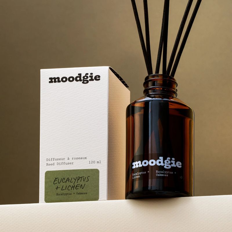 Reed Diffuser Eucalyptus + Lichen