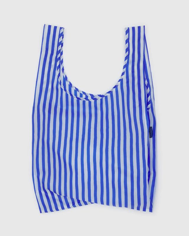 Standard Baggu Blue Painted Stripe