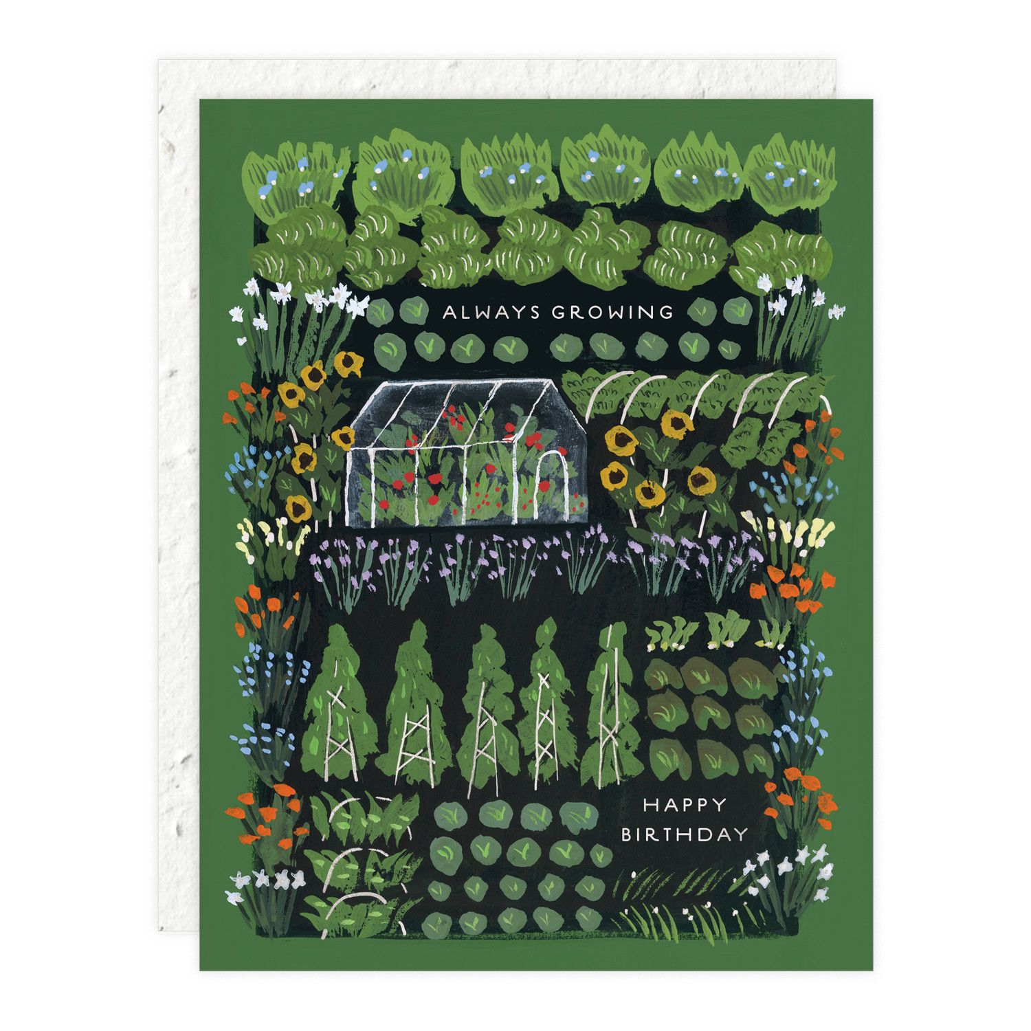 Garden Greenhouse