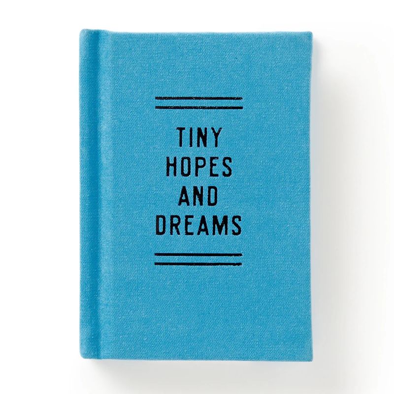 Tiny Hopes and Dreams Diary