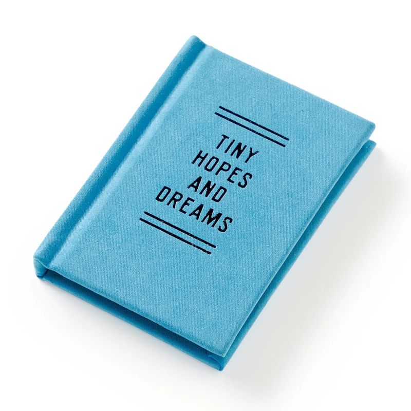 Tiny Hopes and Dreams Diary