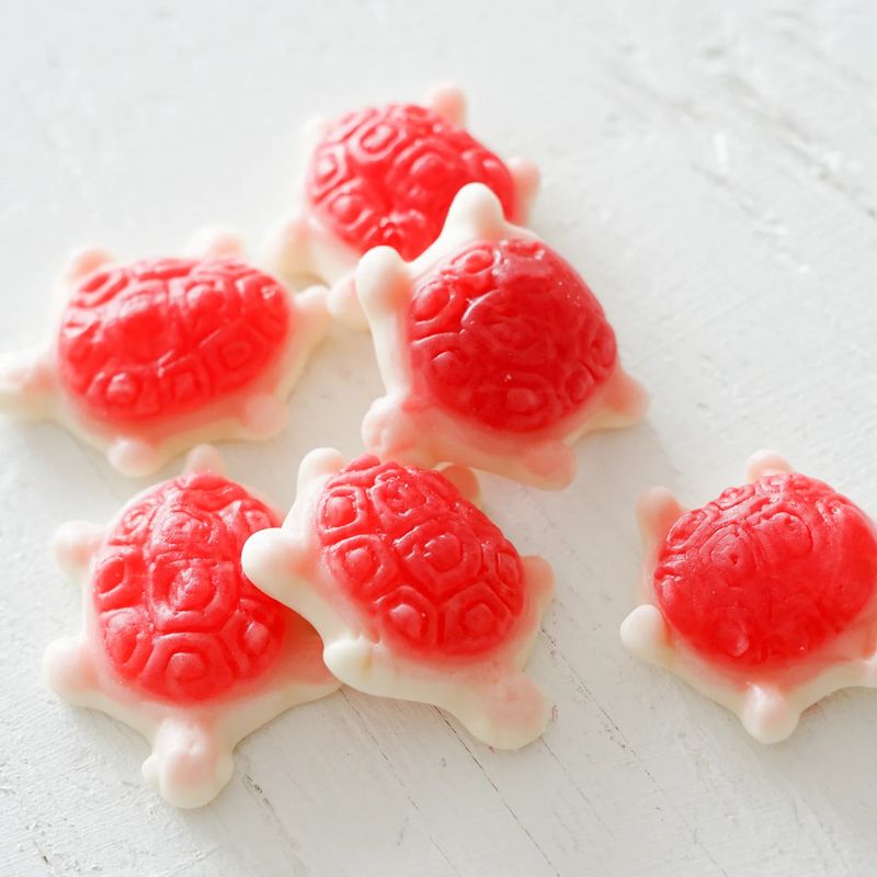 Sea Turtles 50g