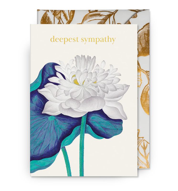 Deepest Sympathy White Lotus Flower