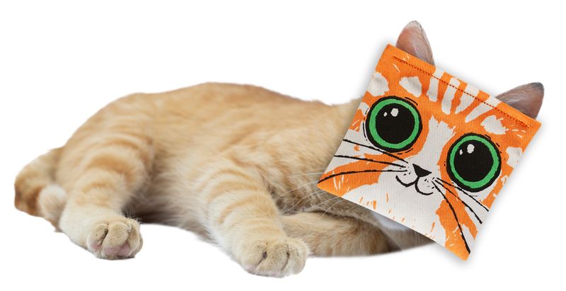 Kitty's First Bong Rip Catnip Toy