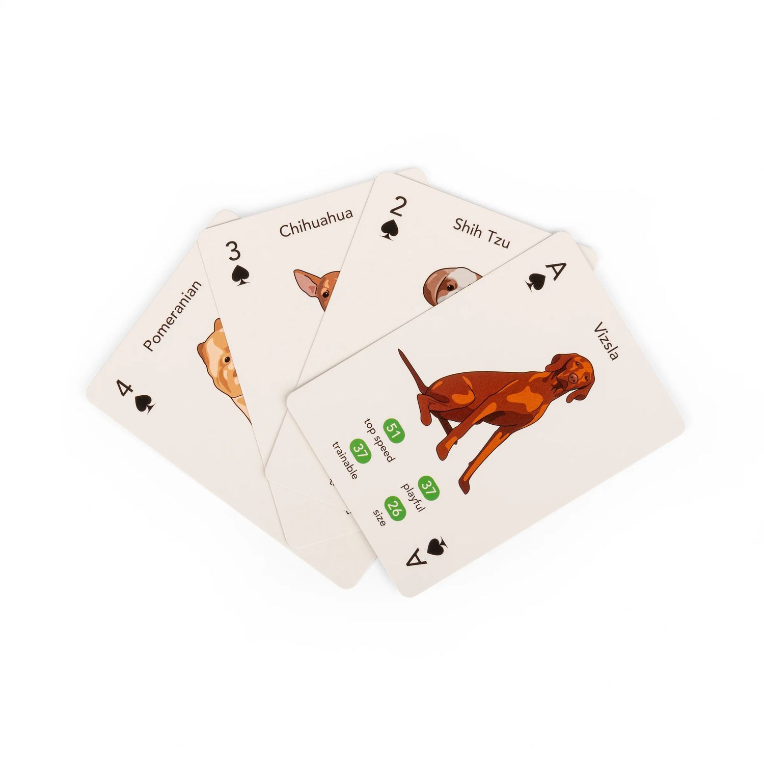 Paws &amp; Play Playing Cards
