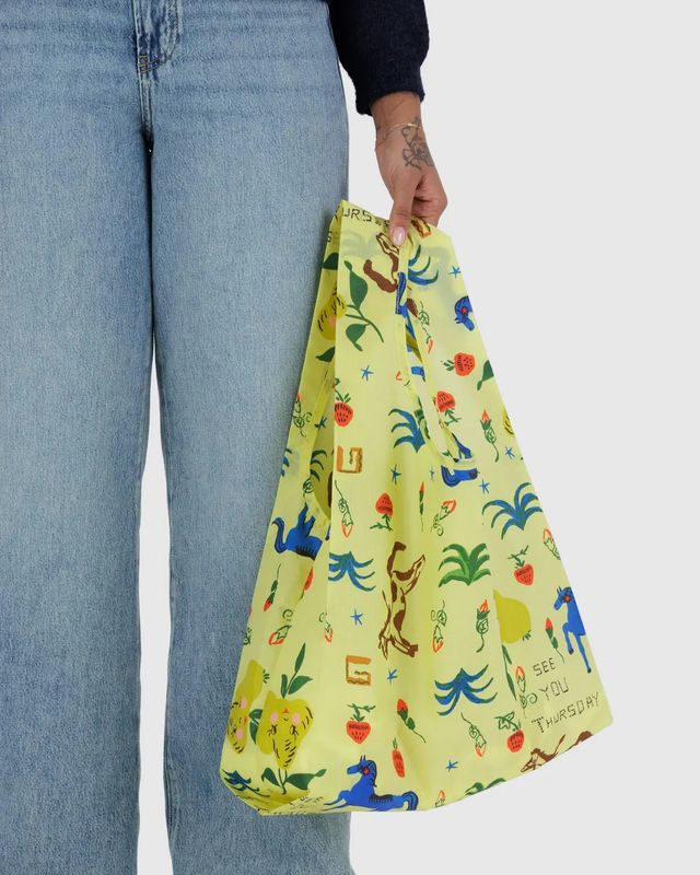 Standard Baggu Painted Prairie