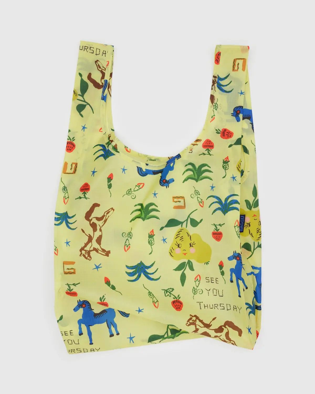 Standard Baggu Painted Prairie