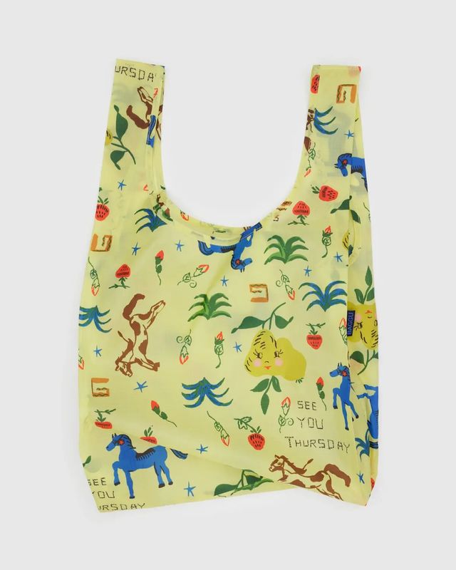Standard Baggu Painted Prairie