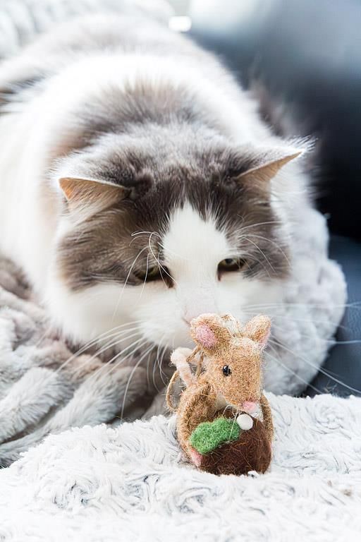 Felt Ornament Mouse with Christmas Pudding