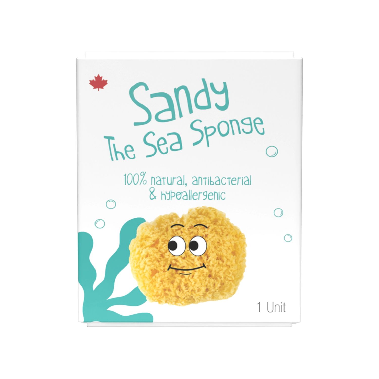 Sand The sea Sponge