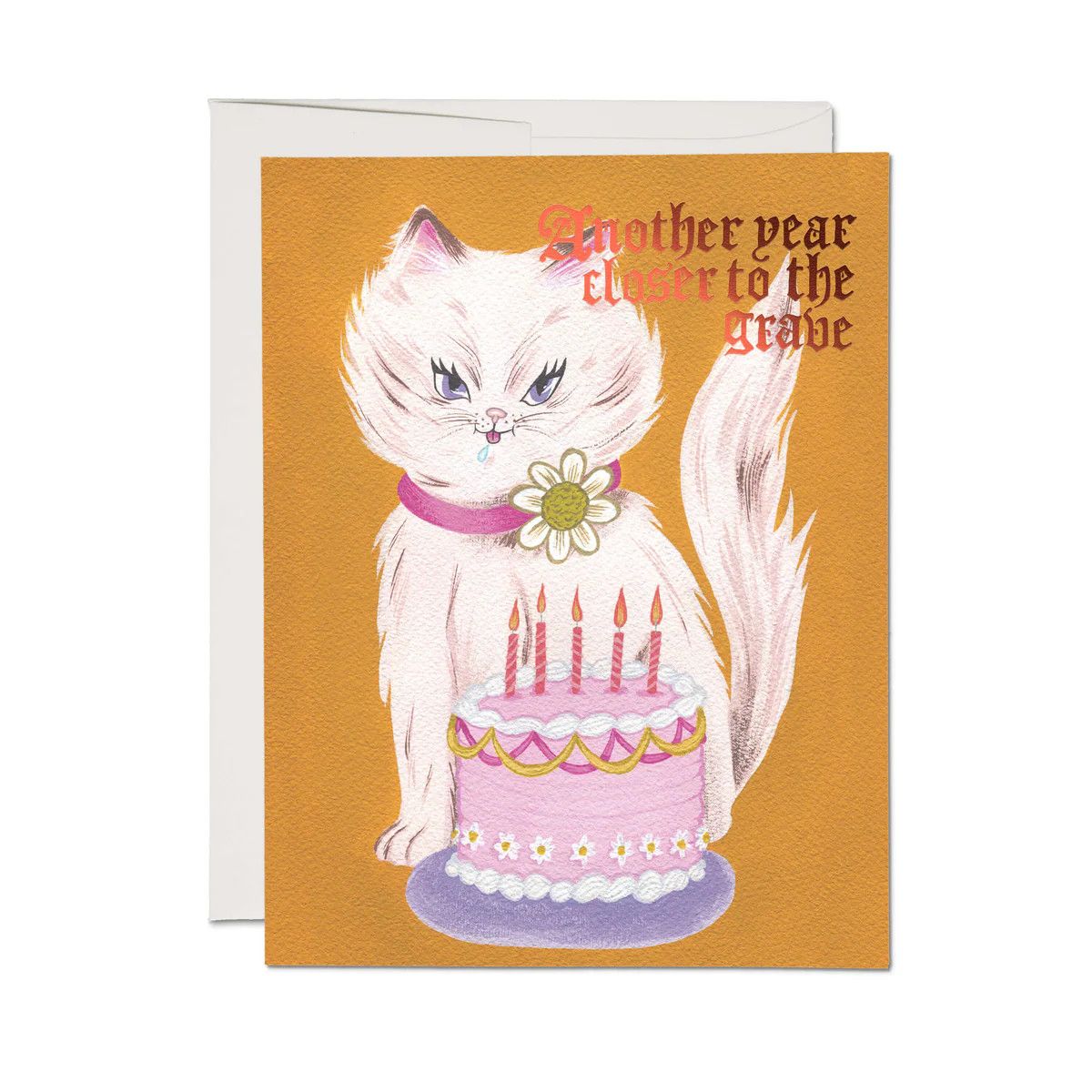 Kitty and Cake