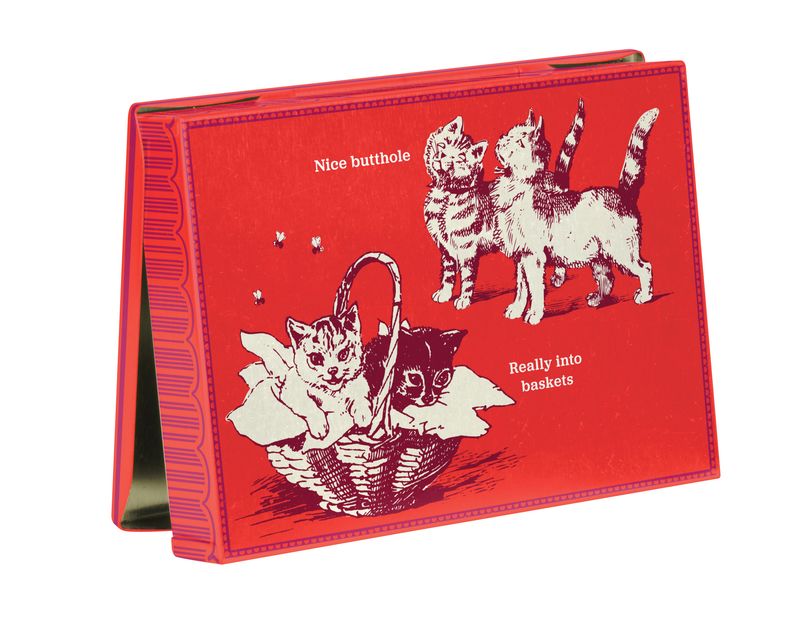 Pocket Box Cat Box