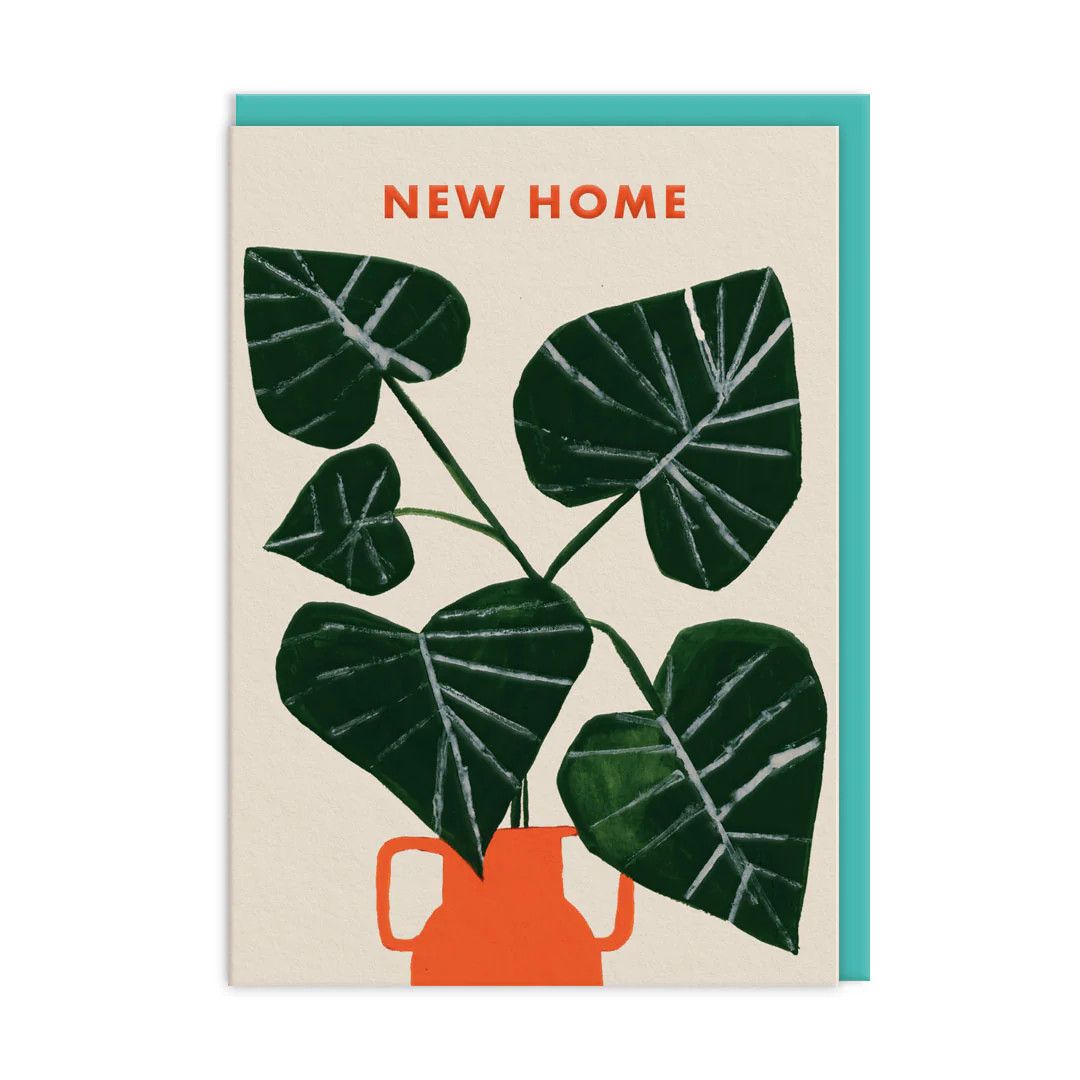 New Home Monstera