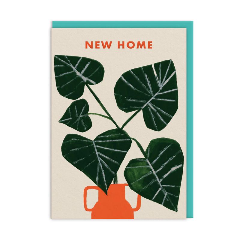 New Home Monstera