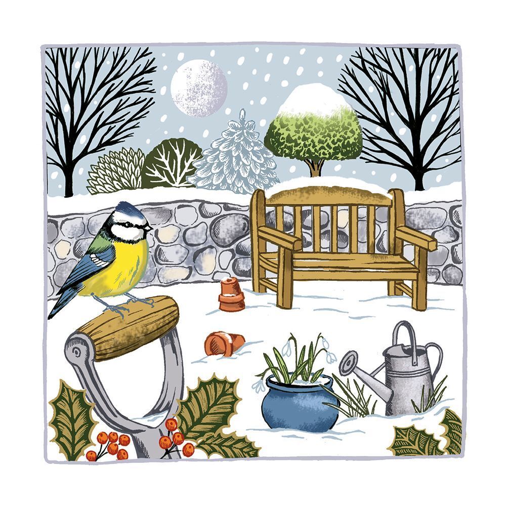 Boxed Christmas Cards Winter Blue Tit
