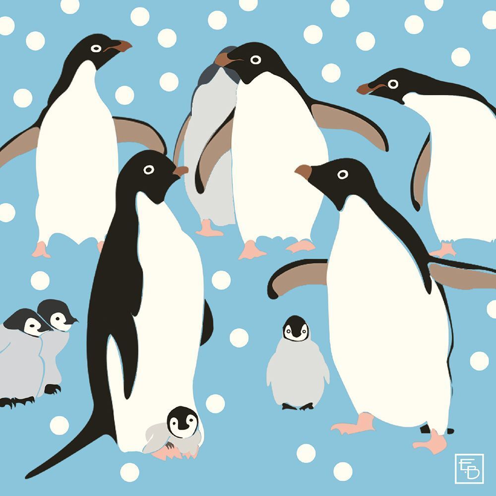 Boxed Christmas Cards Penguins