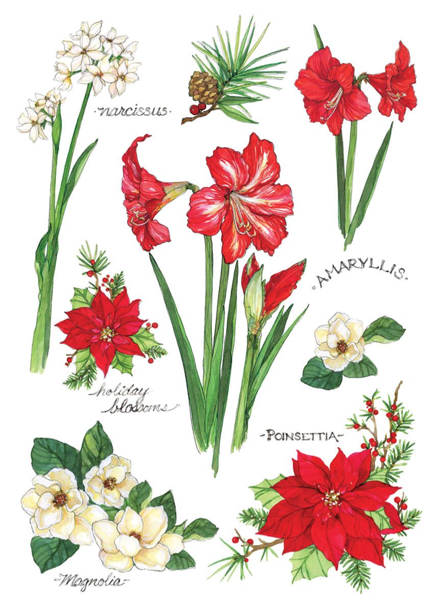 Holiday Blossoms