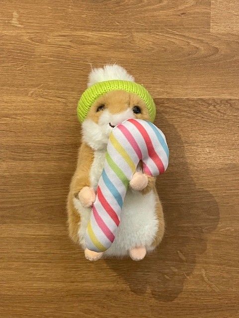 Hamster w/ Hat and Candy Cane