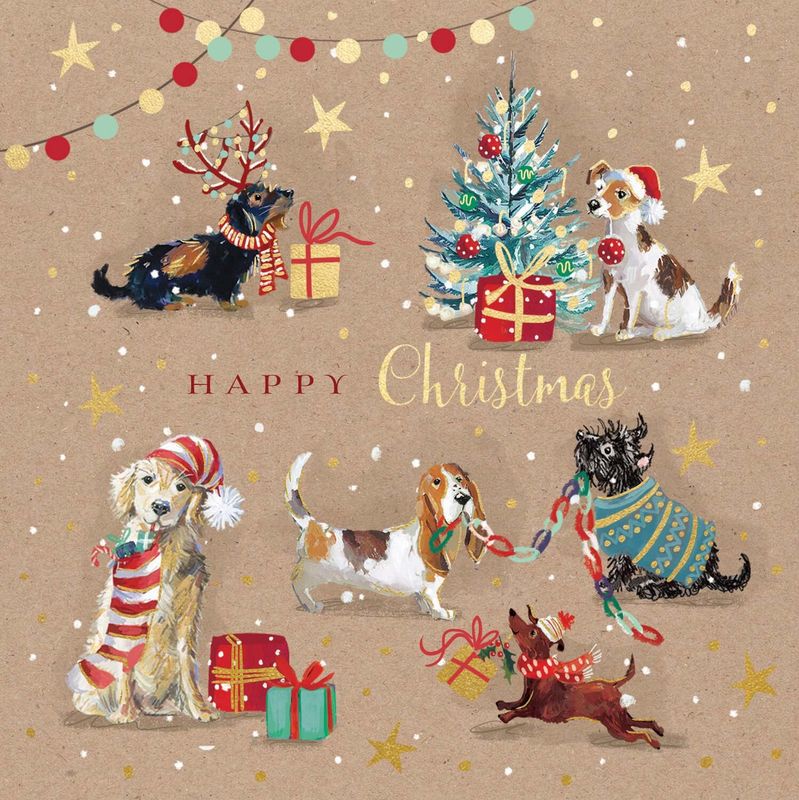 Boxed Christmas Cards Festive Dogs