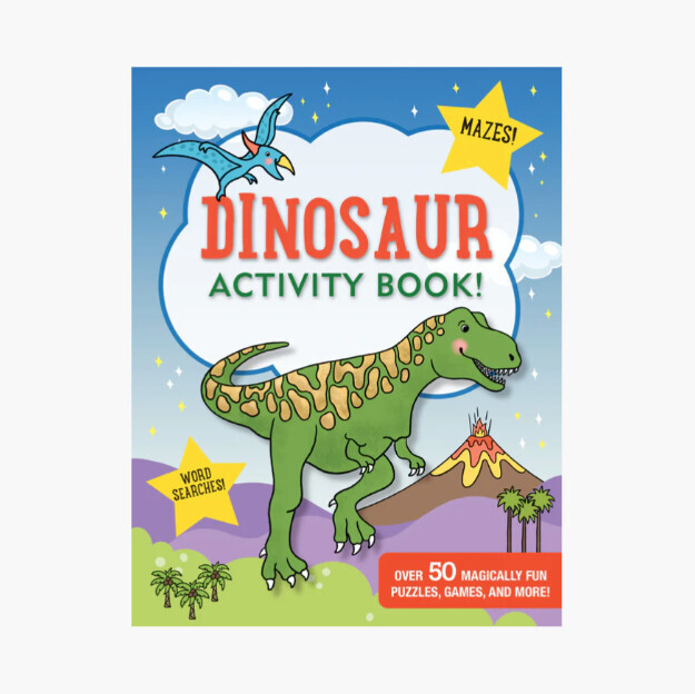Dinosaur Activity Book!