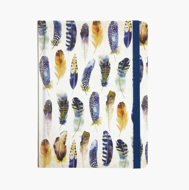 Journal Mid Watercolour Feathers
