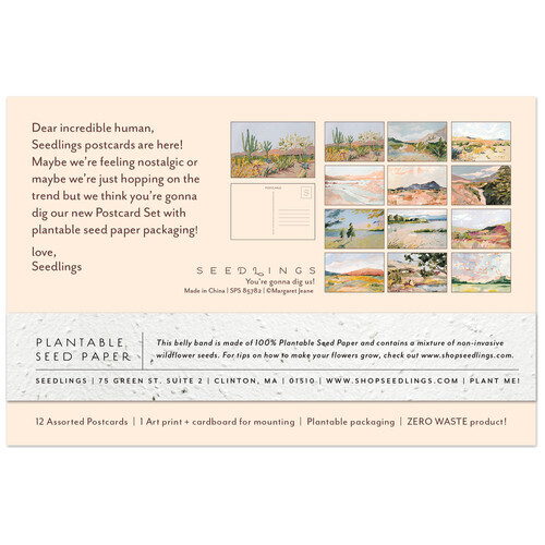 Postcard Set Cactus
