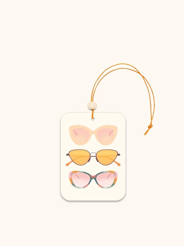 Car Air Freshener Pack of 2 Chic Shades