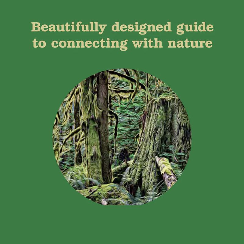 Book Forest School For Grown-Ups