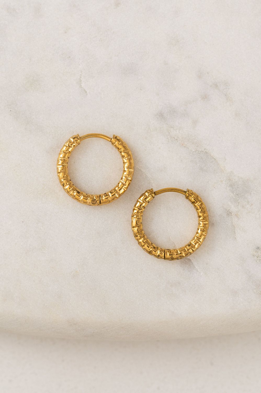 Brit Hoop Waterproof Earrings
