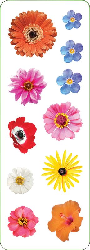 Sticker Set Flowers