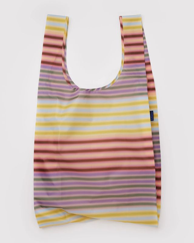 Big Baggu Gradient Stripe Multi