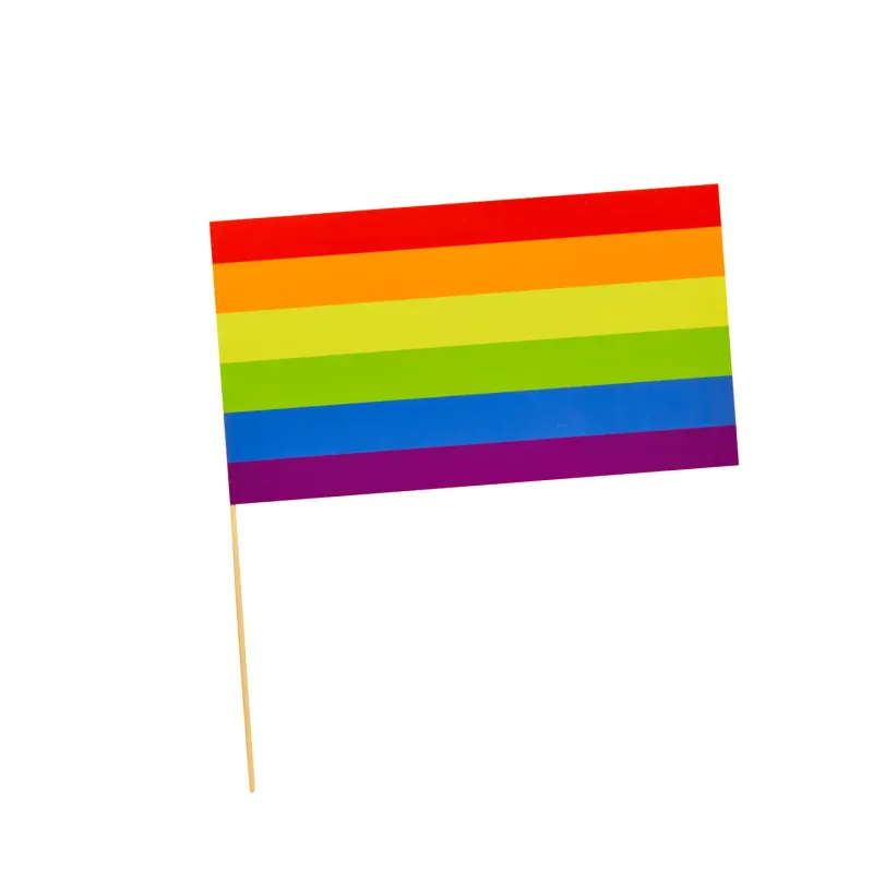 Rainbow Paper Flags 6 Pack
