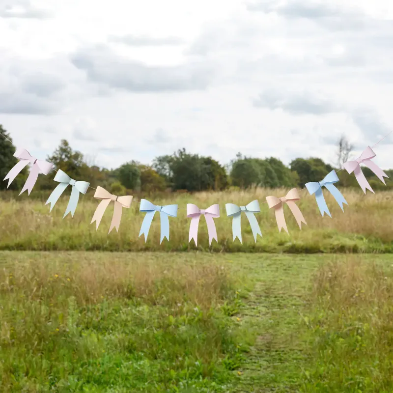 Tea Party 3D Card Bow Garland 2.5m