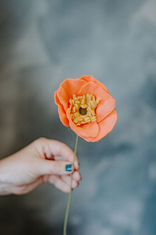 Felt Icelandic Poppy Flower Coral